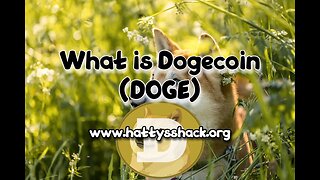 What is Dogecoin DOGE