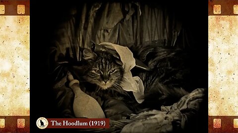 The Hoodlum (1919) 🐱 Cat Movies 🎥🐈
