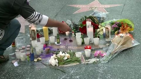 Tributes flood in for David Bowie