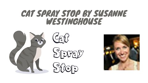 Keeping Your Cat Spray at Bay