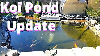 Koi pond update - Building a pond part 16 (building a koi pond)