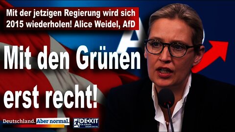 Mit der jetzigen Regierung wird sich 2015 wiederholen, mit den Grünen erst recht, Alice Weidel, AfD