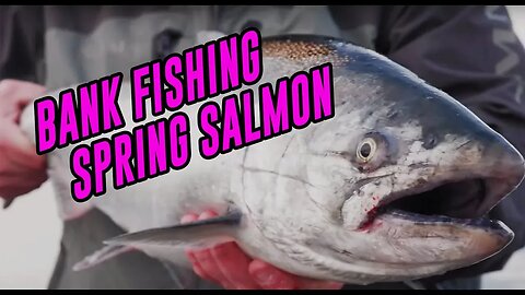 "How To" Bank Fishing For Spring Chinook Salmon | Big River Tactics