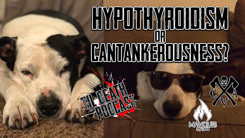 Hypothyroidism or Cantankerousness? | Til Death Podcast | CLIP