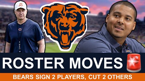 Chicago Bears Roster Moves: Bears Sign Corey Dublin & Jon Alexander, Cut Rysen John and Noah Dawkins