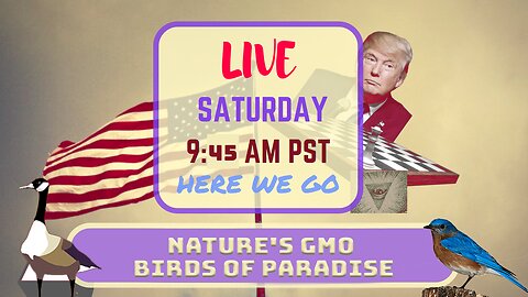 Saturday *LIVE* Nature's GMO Birds of Paradise Edition