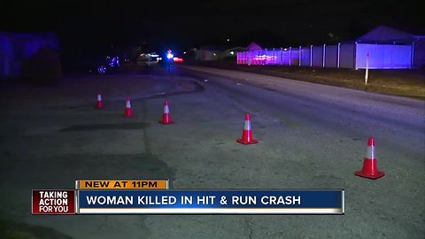 FHP investigating after woman killed in hit-and-run in Holiday