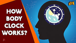 What is Circadian Rhythm