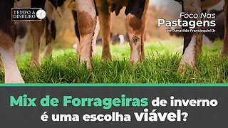 Mix de forrageiras de inverno é uma escolha viável?