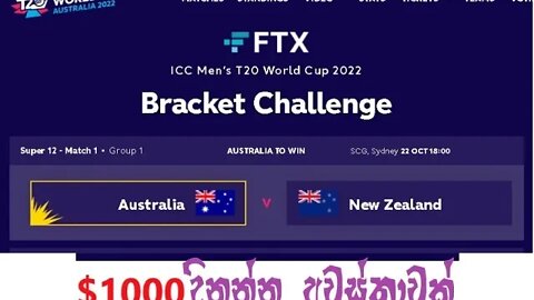 ජයග්‍රාහී කණ්ඩායම අනුමාන කර $1000 දිනාගන්න WorldCup T20 2022- predicate and won $1000 Crypto Free