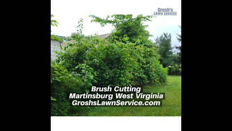 Brush Cutting Martinsburg West Virginia Landscape Company