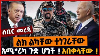 አበቃላቸው❗️ ልክ ልካቸው ተነገራቸው❗️ አሜ*ሪካ ጉድ ሆነች❗️| Ethiopia | Turkey | Sweden | NATO | Oct-28-2022