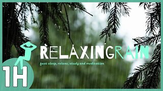 1 hour⏱| Relaxing rain and thunder sounds to relief stress