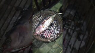 grilling fish..