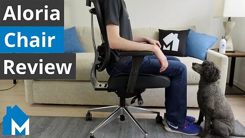 🪑 Oak Hollow Aloria Office Chair Review — 6 Month Test