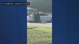 Polk deputy punches handcuffed suspect twice in cell phone video