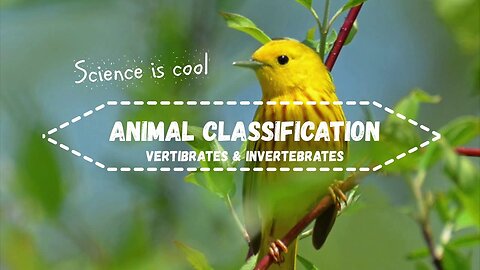 Science is cool - Animal Classification Vertebrates and Invertebrates
