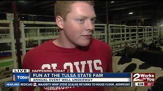 OSU students showcasing cattle at Tulsa State Fair