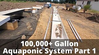 SUPER big natural aquaponic system part 1 (duckponics)