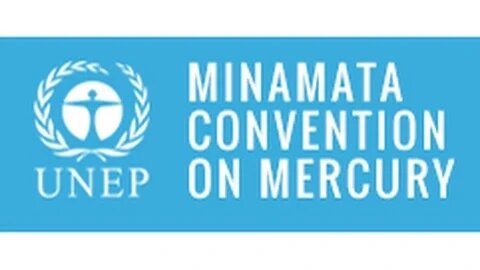 IAOMT UNEP PARTICIPATION in the Minamata convention on mercury.