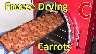 Freeze Drying Carrots & Rehydrating