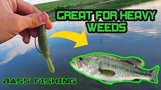 This Bait is a GAME CHANGER For BASS FISHING! #outdoors #fishing #bassfishing