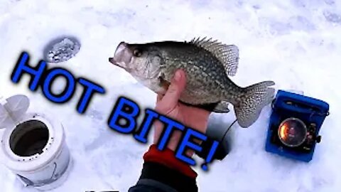 Ice Fishing for Crappie during PRIMETIME! - Illinois Ice Fishing