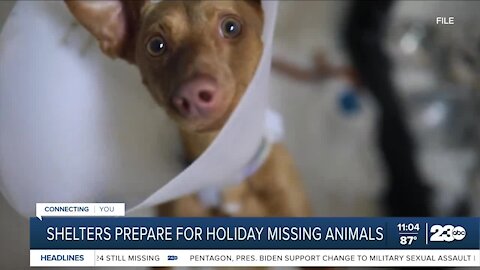 Shelters prepare for missing animals during the Fourth of July Holiday weekend