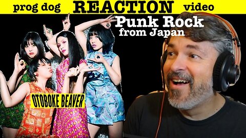 Otoboke Beaver "Don't Light My Fire" video Japan All-girl Punk Rock band (reaction episode 813)