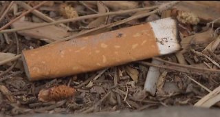 New proposal limits smoking in North Las Vegas parks