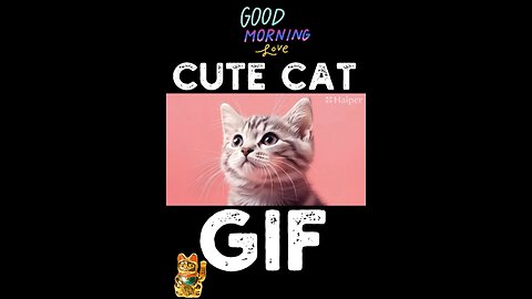 Cute Cat Gif