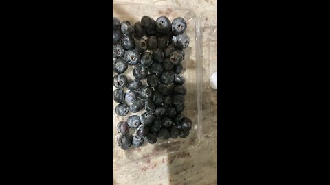 Jumbo blueberries ready to eat