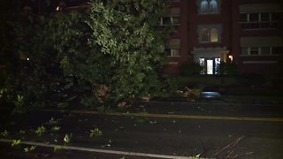 Large tree topples onto car in Cleveland