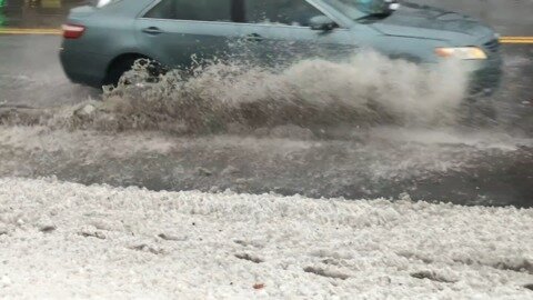 Storm delivered a slurry of weather to Nova Scotia on Groundhog Day