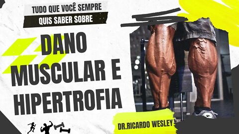 Hipertrofia: Dano muscular é importante? Será que temos que "destruir" a musculatura no treino?