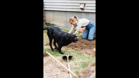 Dog Mistakes Drags Owner Around The Backyard