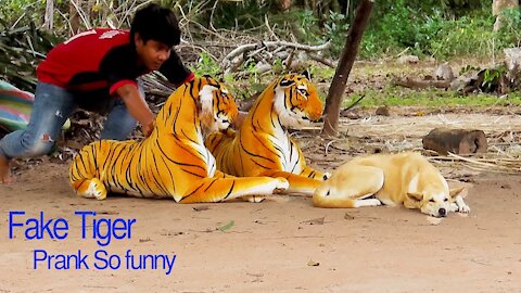 Prank Dog vs 2 Fake Tiger