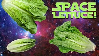 First Lettuce Grown and Eaten in Space | NASA | Space in 4K |