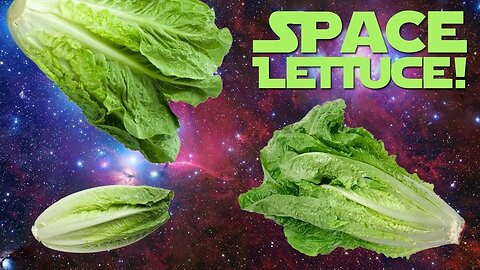 First Lettuce Grown and Eaten in Space | NASA | Space in 4K |