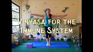 Vinyasa for the Immune System