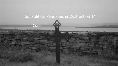 So: Political Pandemic & Destruction 14
