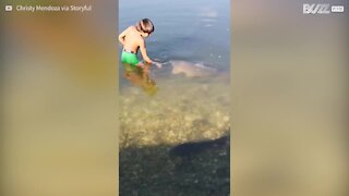 L'incredibile amicizia tra un bimbo e un pesce gigante