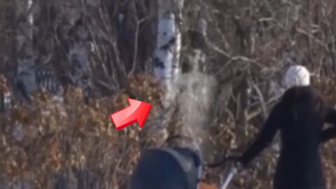 Sighting of mysterious thin white human hiding in a tree at the back of a snow field ghost or alien