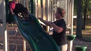 Dog Pushes A Kid Off The Slide