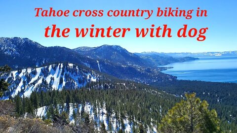 A day at Tahoe Meadow Rose Cross country skiing course--free and perfect