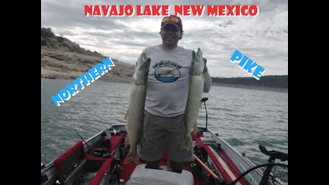 Huge Blue-Green Pike from Navajo Lake NM- Fishing with Steve! - Spoonplugging