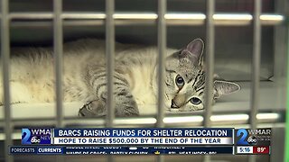 BARCS raising money to outfit new shelter in Cherry Hill