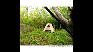 "Yugo w/No Trunk Space ( Woofers )" by Caalamus from the Album "I Live in a Tent"