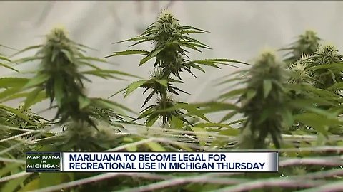 Marijuana to become legal for recreational use in Michigan Thursday