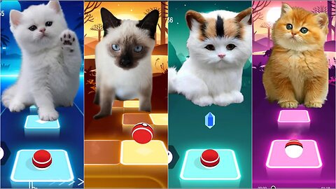 Cats singing CRAZY FROG vs BLOODY MARY vs BAD GUY vs 2 PHUT HON | Tiles Hop: EDM Rush!